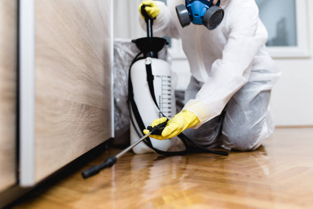 Best Rat Extermination Near Me  in Trenton, MI