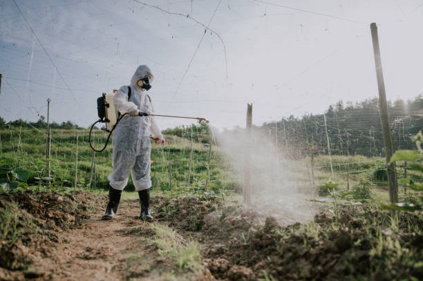 Best Pest Prevention Services  in Trenton, MI