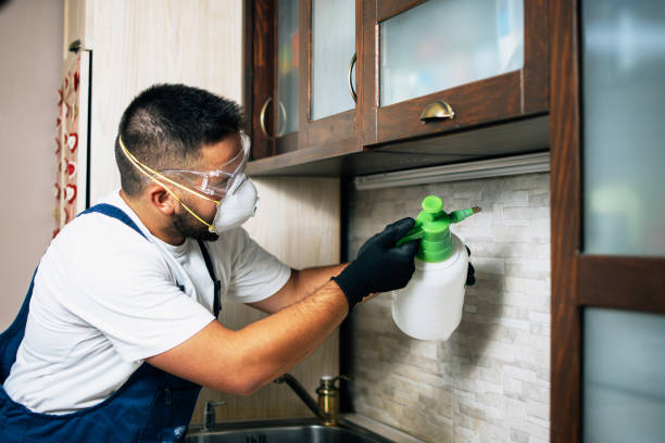  Trenton, MI Pest Control Pros