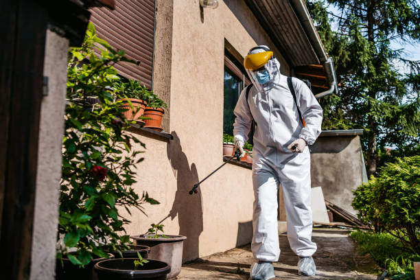 Wildlife Control Services in Trenton, MI