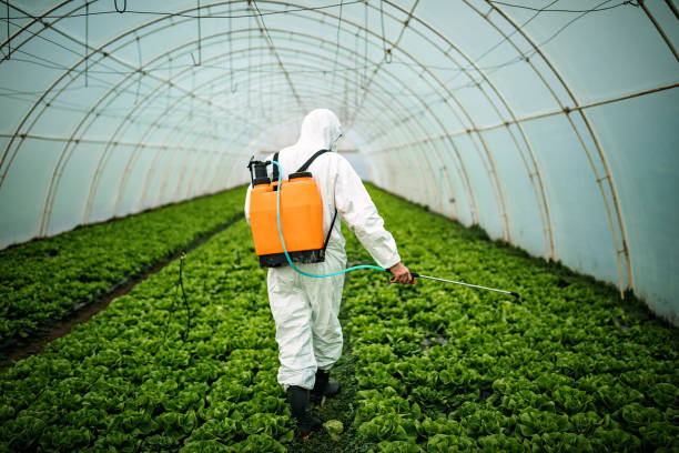 Best Affordable Pest Control Services  in Trenton, MI
