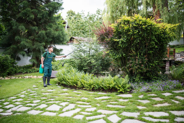 Best Best Pest Control Companies  in Trenton, MI