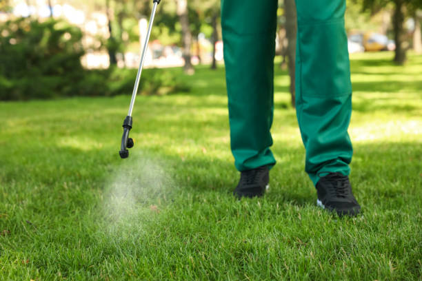 Best Exterminator Services  in Trenton, MI