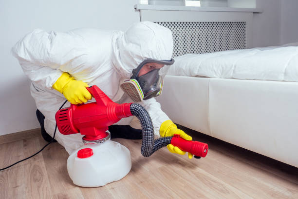 Best Emergency Pest Control  in Trenton, MI