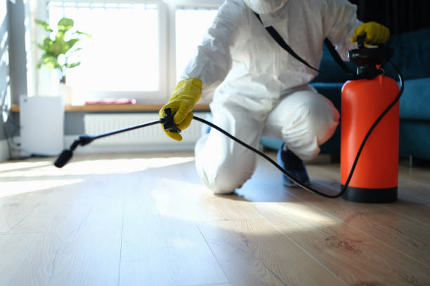 Best Wasp Removal Services  in Trenton, MI