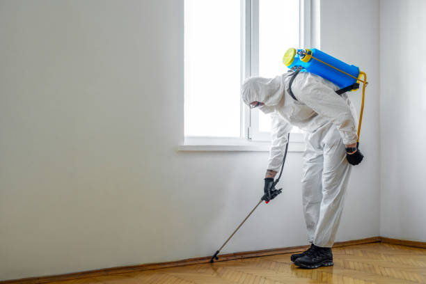 Best Pest Removal Services  in Trenton, MI