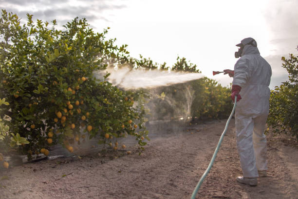 Best Local Pest Control Services  in Trenton, MI