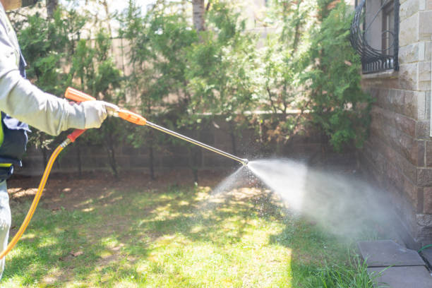 Best Residential Pest Control  in Trenton, MI