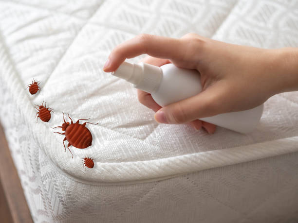 Pest Prevention Services in Trenton, MI
