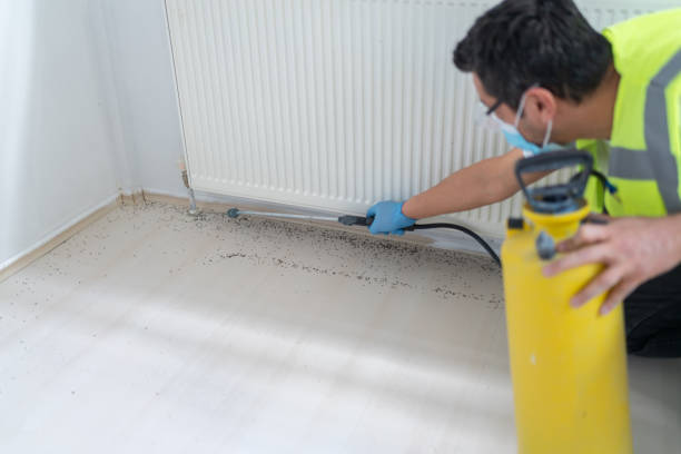 Reliable Trenton, MI Pest Control Solutions